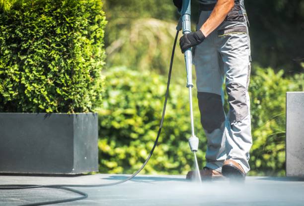Best Pool Deck Cleaning  in Osseo, MN