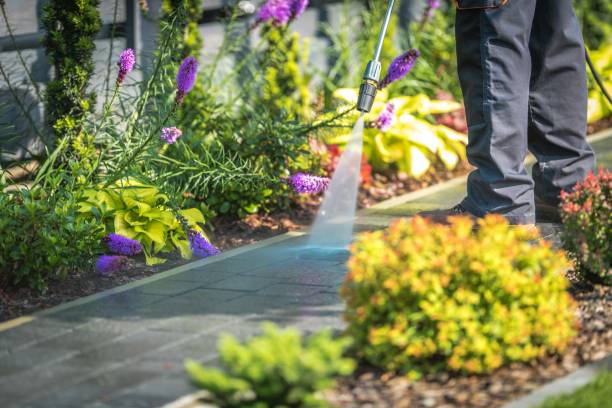 Best Sidewalk and Walkway Cleaning  in Osseo, MN