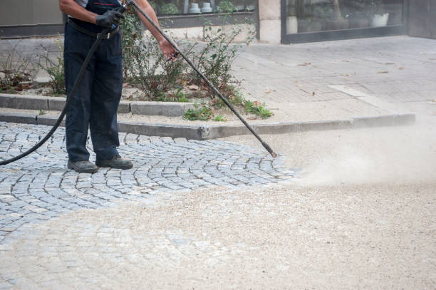 Best Pre-Holiday Cleaning  in Osseo, MN