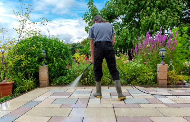 Best Patio and Deck Pressure Washing  in Osseo, MN