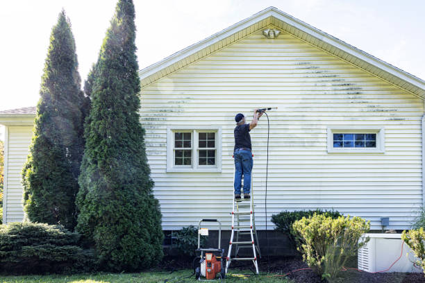 Best Dumpster Area Cleaning  in Osseo, MN