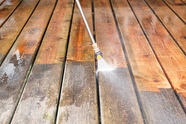Animal Enclosure Cleaning in Osseo, MN
